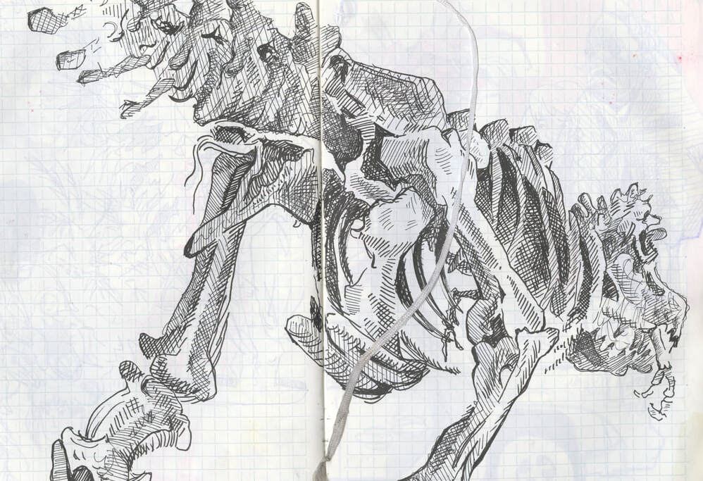 The Natural History Museum